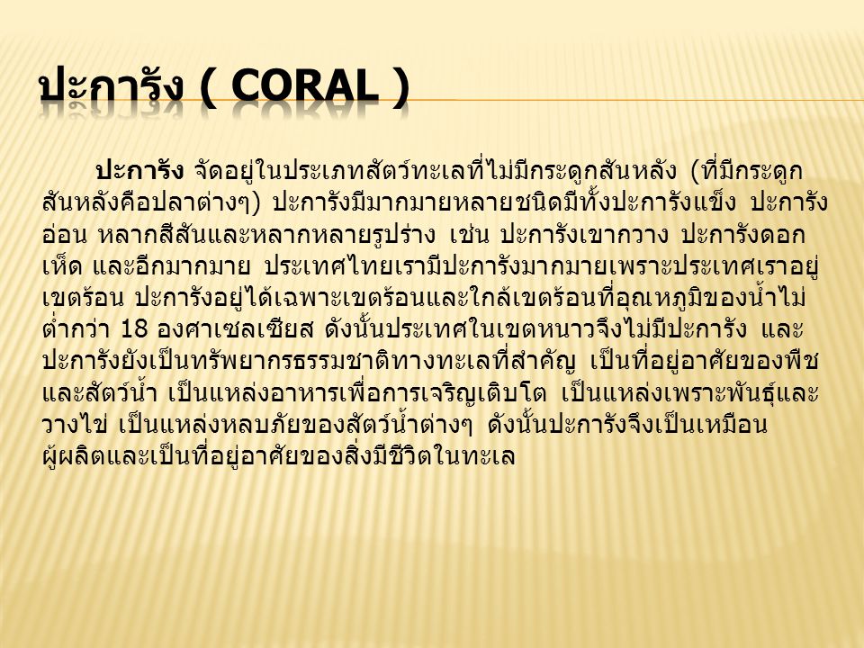 ปะการัง ( Coral )