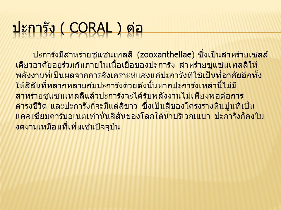ปะการัง ( Coral ) ต่อ