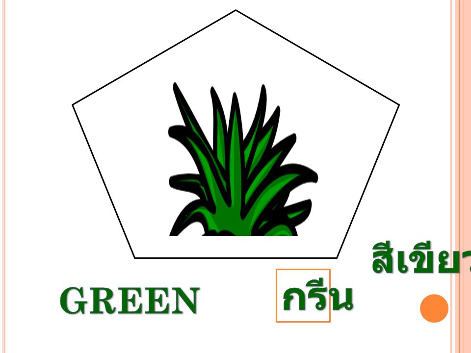 สีเขียว กรีน GREEN