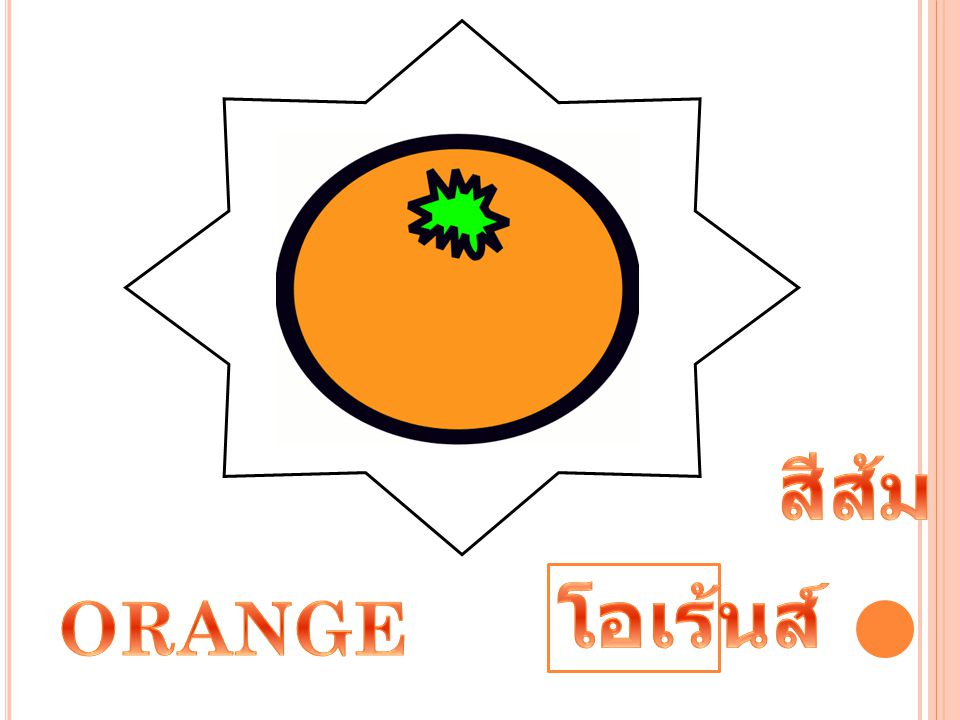 สีส้ม โอเร้นส์ ORANGE