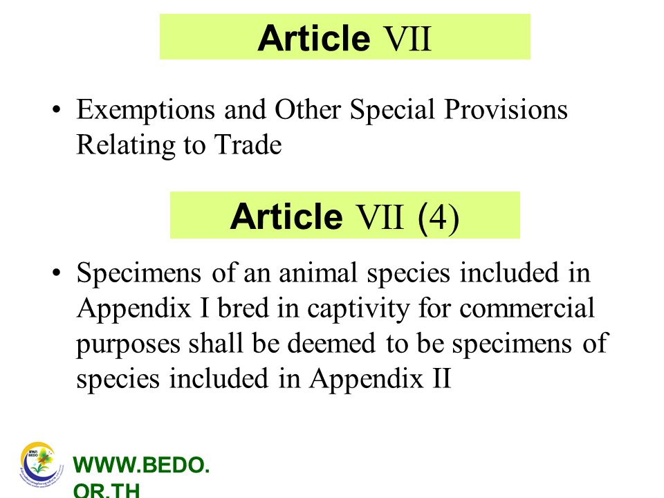 Article VII Article VII (4)