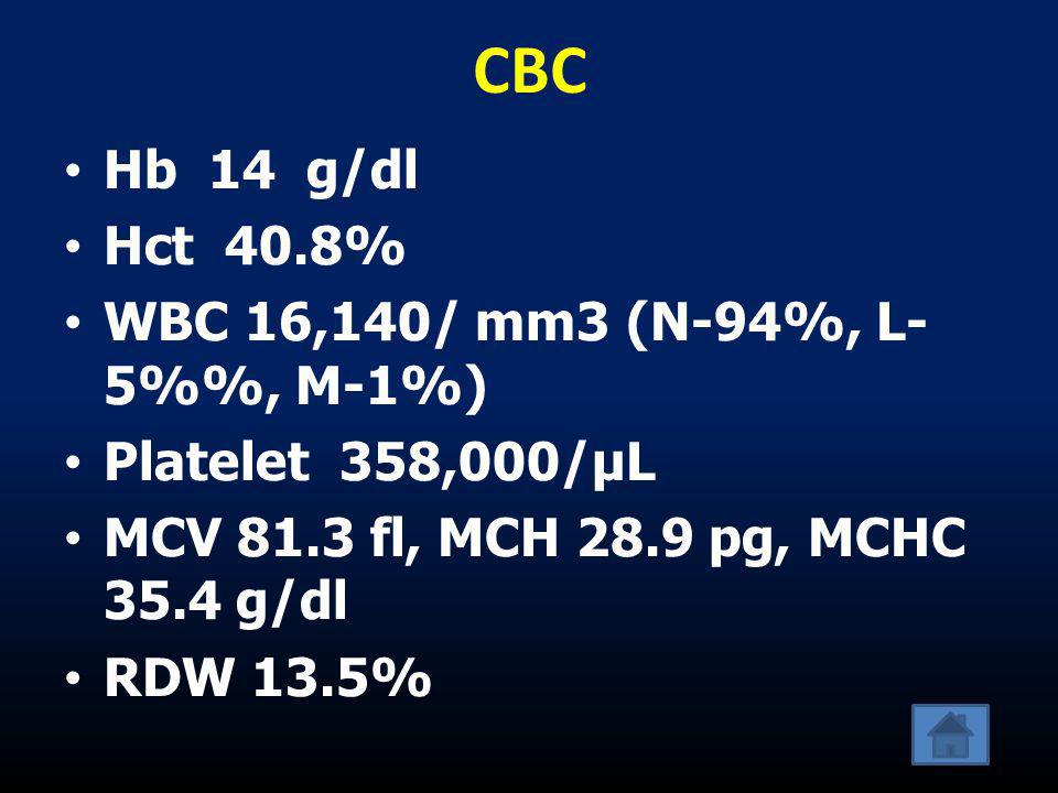 CBC Hb 14 g/dl Hct 40.8% WBC 16,140/ mm3 (N-94%, L-5%%, M-1%)