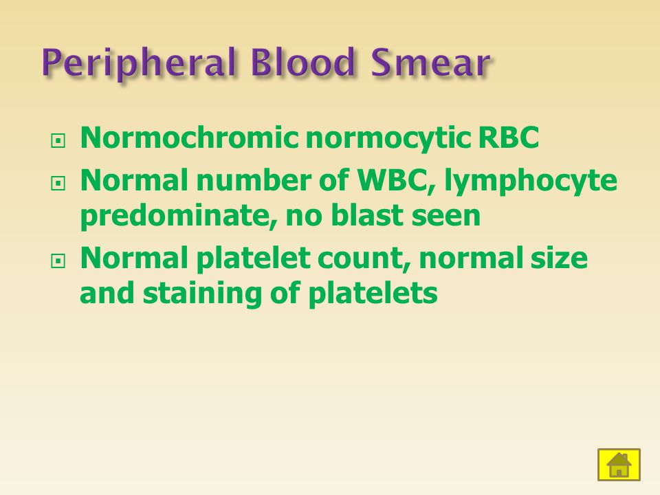 Peripheral Blood Smear