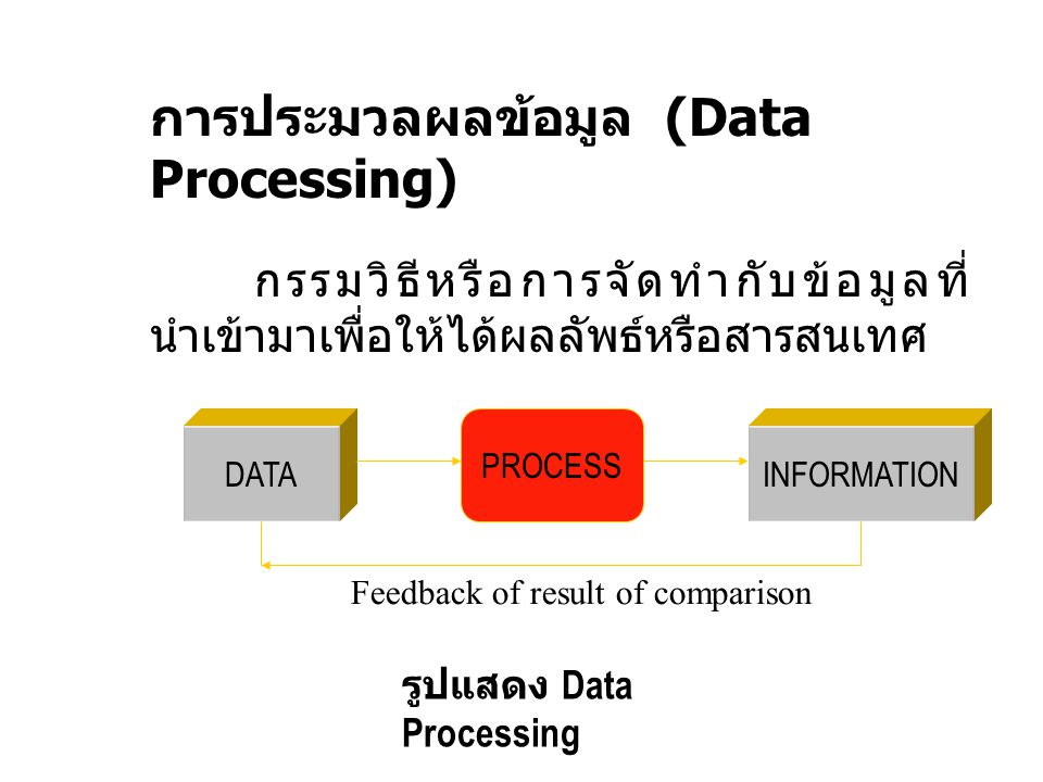 การประมวลผลข้อมูล (Data Processing)