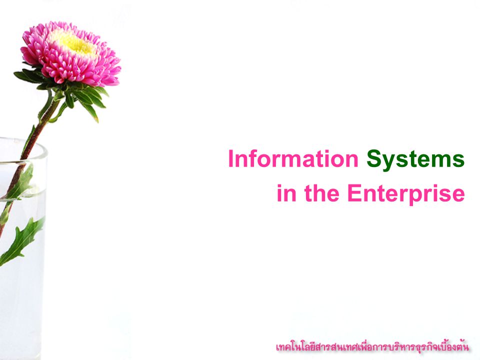 Information Systems in the Enterprise