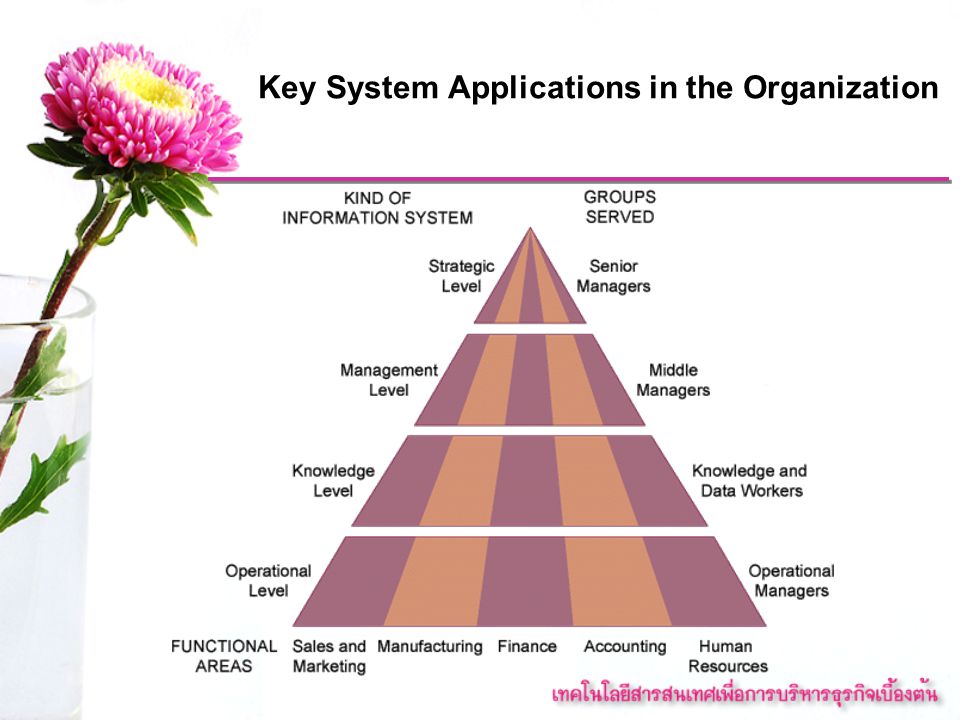 Key System Applications in the Organization