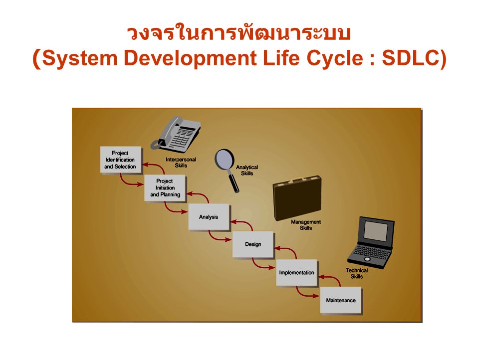 วงจรในการพัฒนาระบบ (System Development Life Cycle : SDLC)