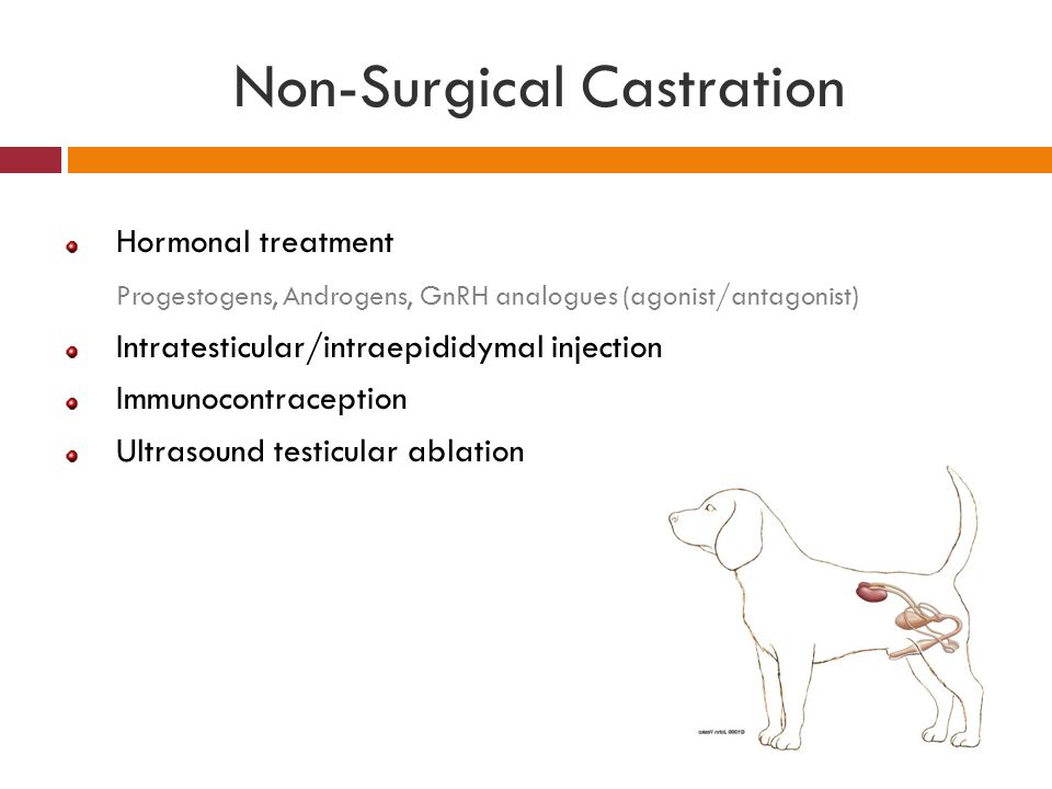 Non-Surgical Castration