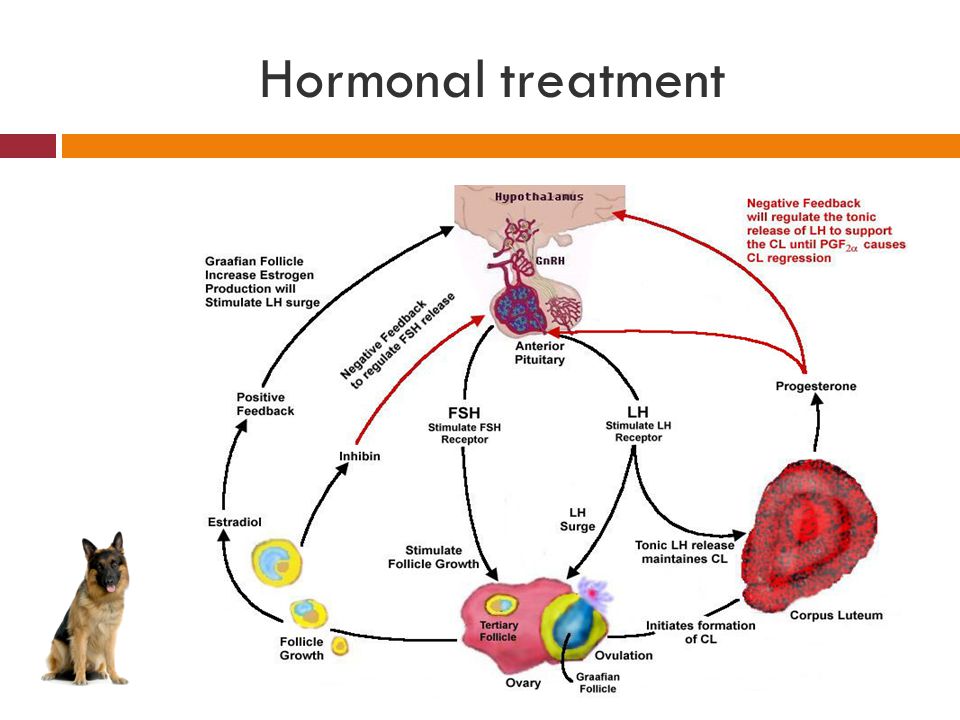 Hormonal treatment