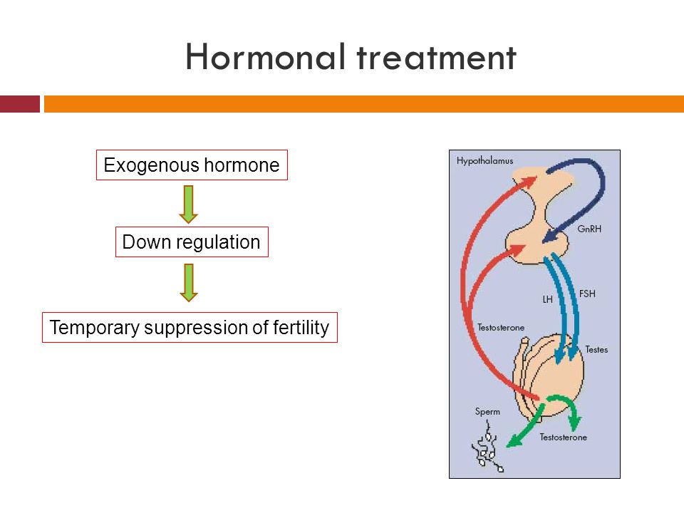Hormonal treatment Exogenous hormone Down regulation