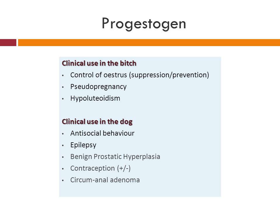 Progestogen Clinical use in the bitch