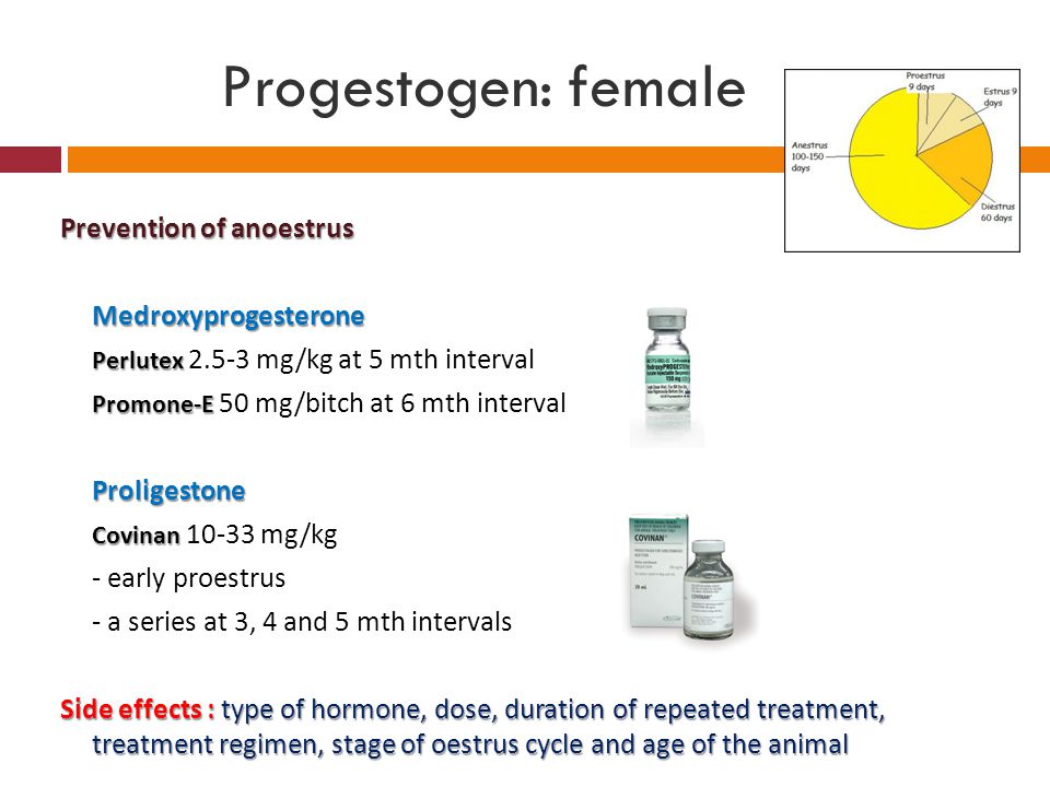 Progestogen: female Prevention of anoestrus Medroxyprogesterone