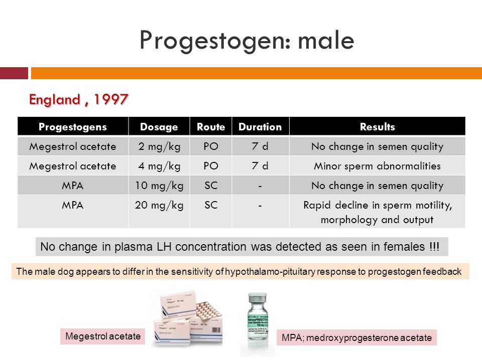 Progestogen: male England , 1997 Progestogens Dosage Route Duration
