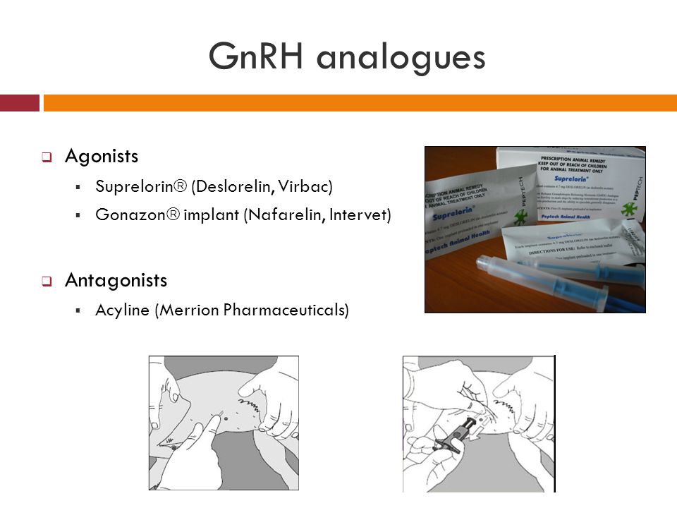 GnRH analogues Agonists Antagonists Suprelorin (Deslorelin, Virbac)