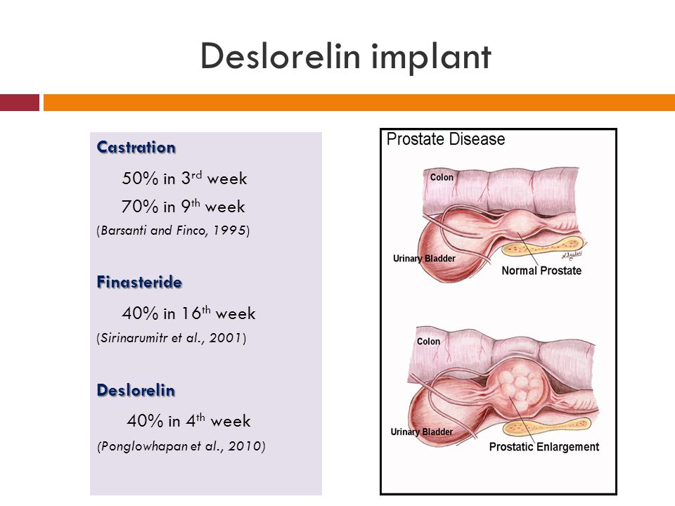 Deslorelin implant 50% in 3rd week 40% in 16th week 40% in 4th week