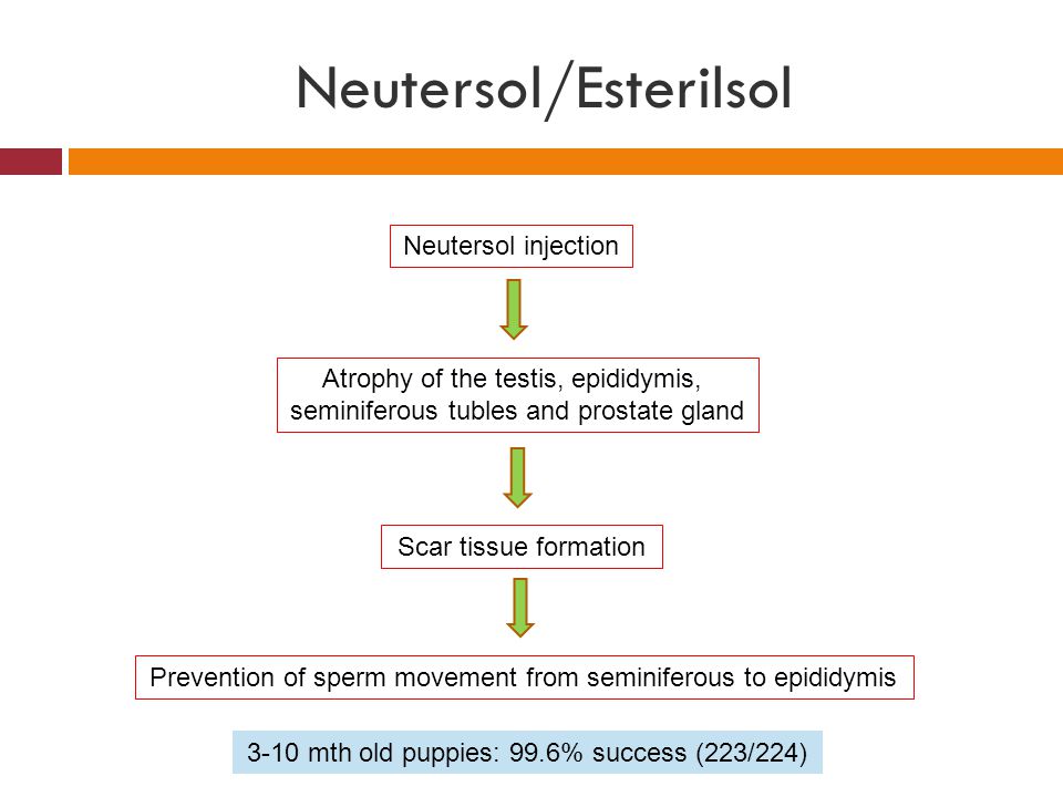 Neutersol/Esterilsol