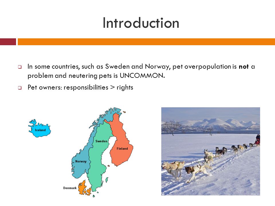 Introduction In some countries, such as Sweden and Norway, pet overpopulation is not a problem and neutering pets is UNCOMMON.