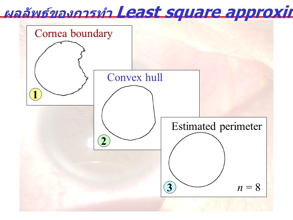 ผลลัพธ์ของการทำ Least square approximation
