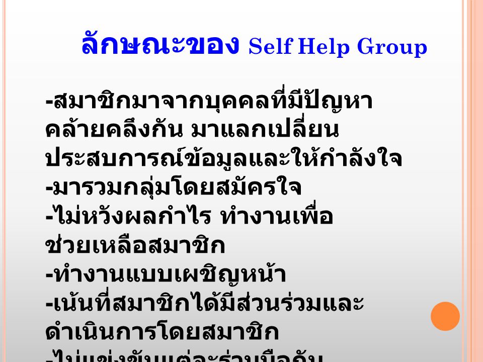ลักษณะของ Self Help Group