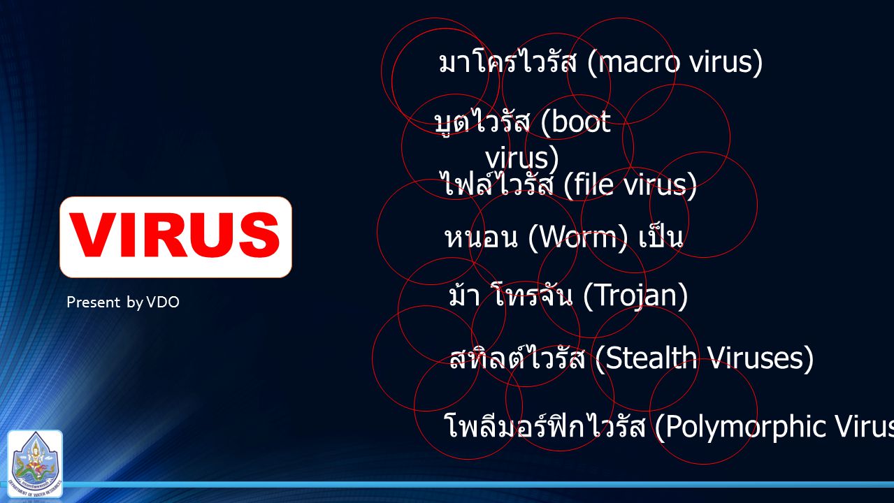 VIRUS มาโครไวรัส (macro virus) บูตไวรัส (boot virus)