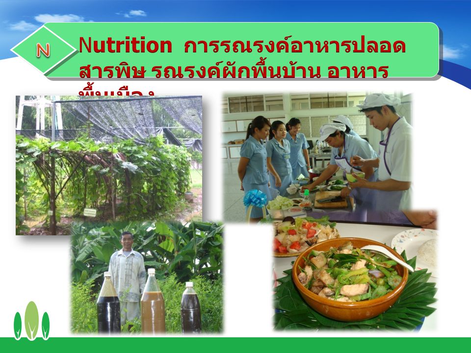 Nutrition การรณรงค์อาหารปลอดสารพิษ รณรงค์ผักพื้นบ้าน อาหารพื้นเมือง
