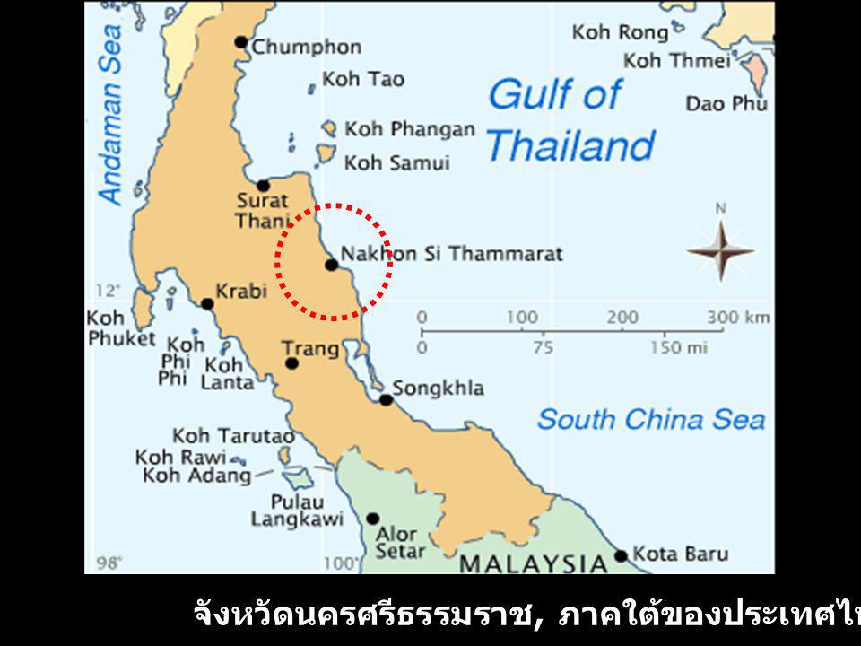 จังหวัดนครศรีธรรมราช, ภาคใต้ของประเทศไทย