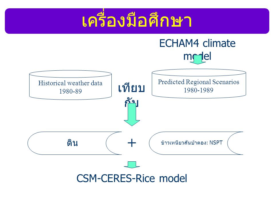 เครื่องมือศึกษา + เทียบกับ ECHAM4 climate model CSM-CERES-Rice model