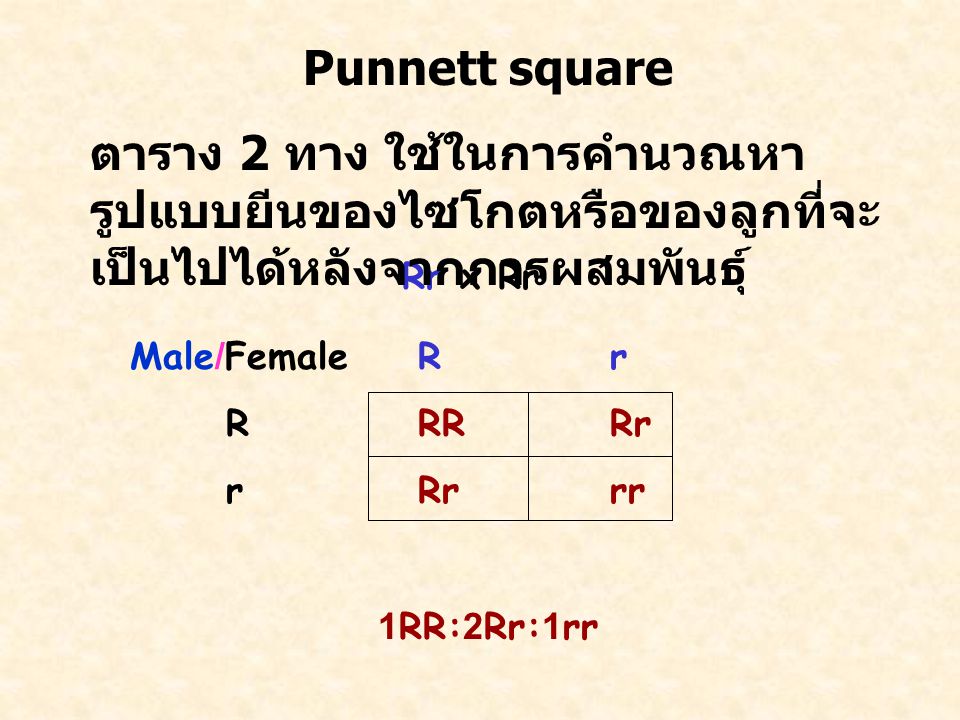 Punnett square ตาราง 2 ทาง ใช้ในการคำนวณหารูปแบบยีนของไซโกตหรือของลูกที่จะเป็นไปได้หลังจากการผสมพันธุ์