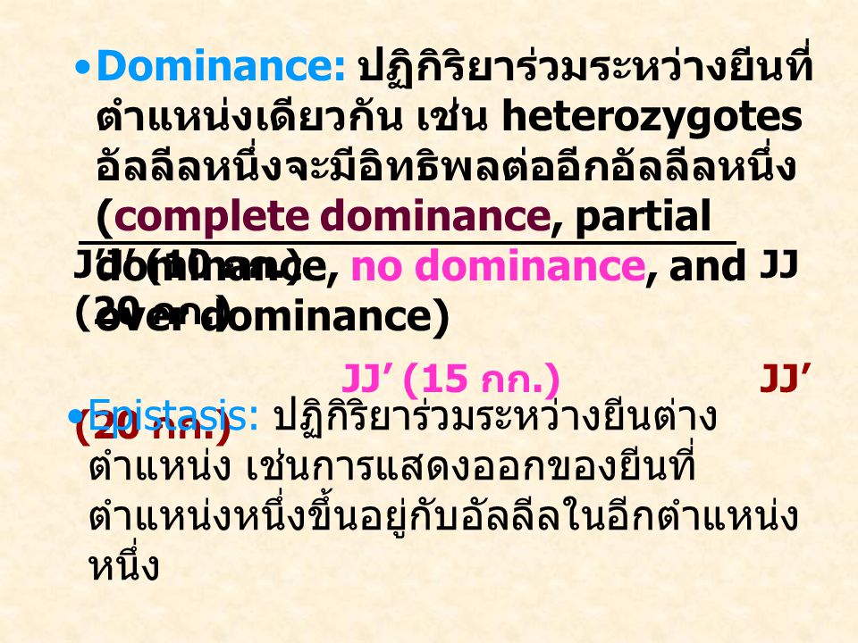 Dominance: ปฏิกิริยาร่วมระหว่างยีนที่ตำแหน่งเดียวกัน เช่น heterozygotes อัลลีลหนึ่งจะมีอิทธิพลต่ออีกอัลลีลหนึ่ง (complete dominance, partial dominance, no dominance, and over dominance)