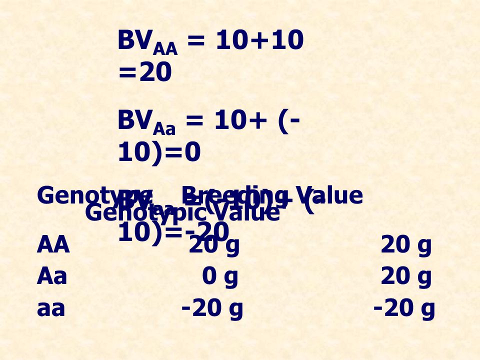 BVAA = =20 BVAa = 10+ (-10)=0 BVaa =(-10)+ (-10)=-20