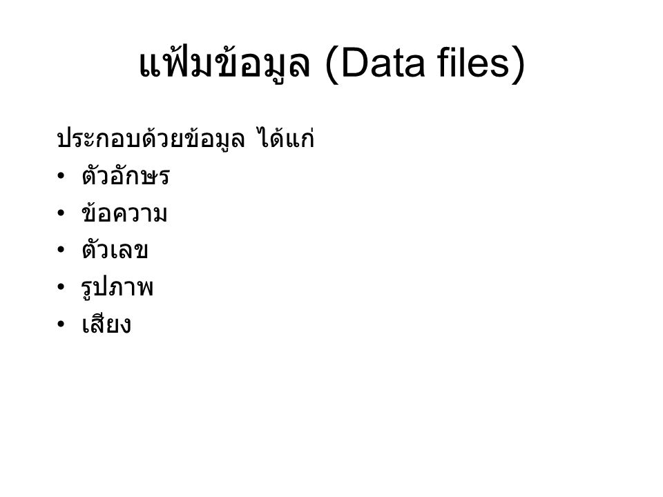 แฟ้มข้อมูล (Data files)