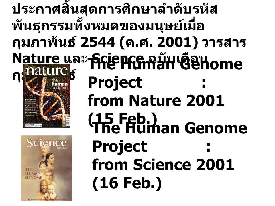 The Human Genome Project : from Nature 2001 (15 Feb.)