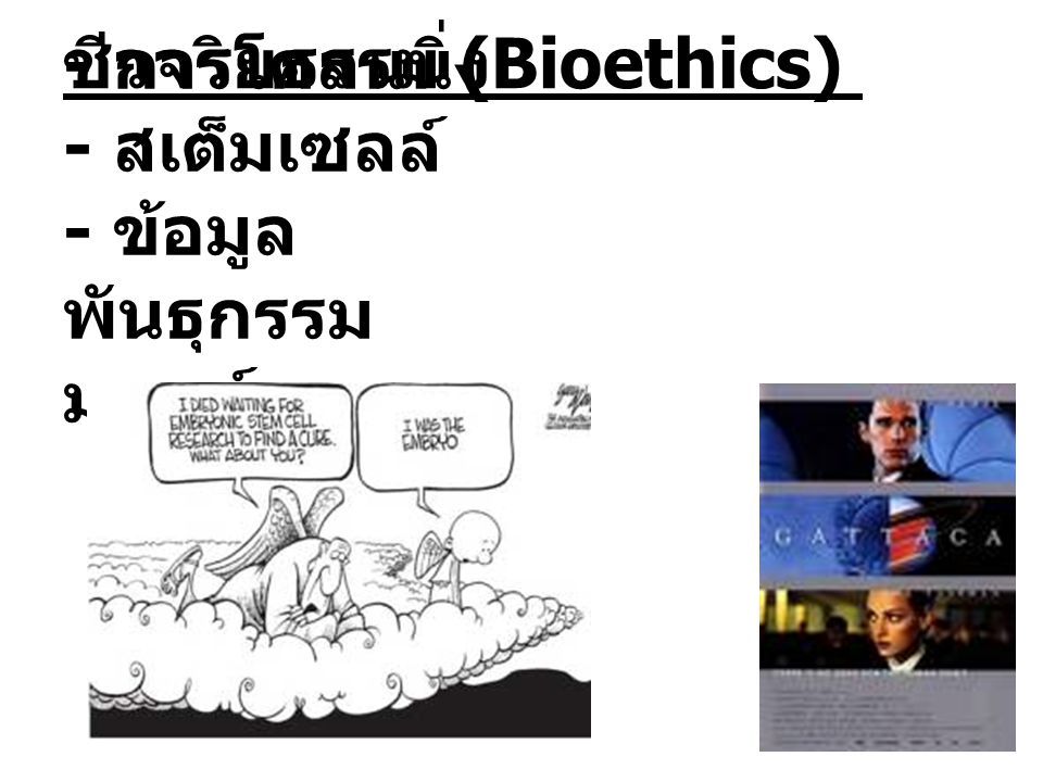 ชีวจริยธรรม (Bioethics)