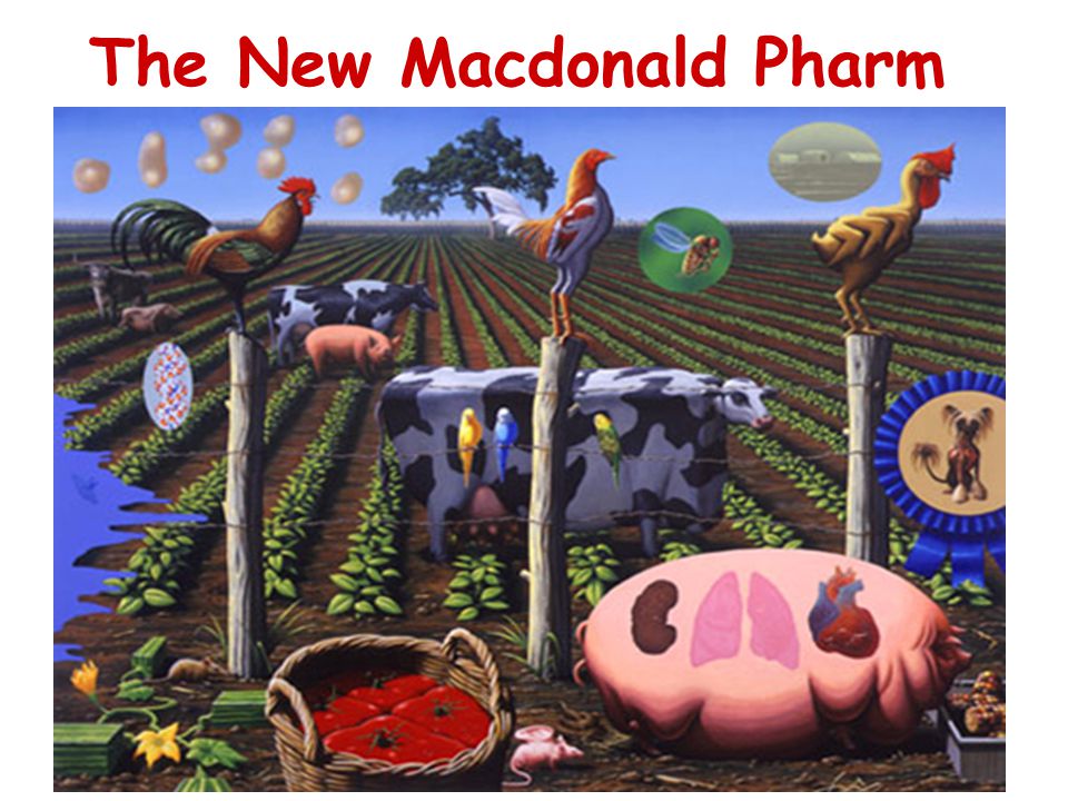 The New Macdonald Pharm