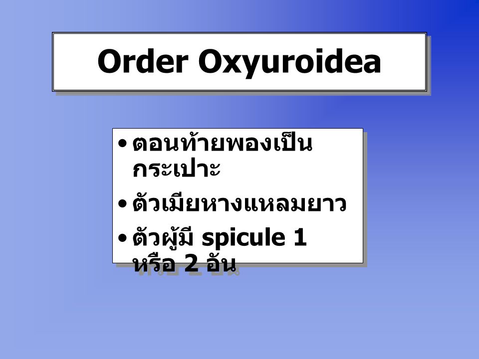 Order Oxyuroidea ตอนท้ายพองเป็นกระเปาะ ตัวเมียหางแหลมยาว