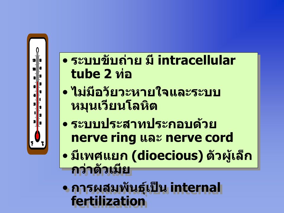 ระบบขับถ่าย มี intracellular tube 2 ท่อ