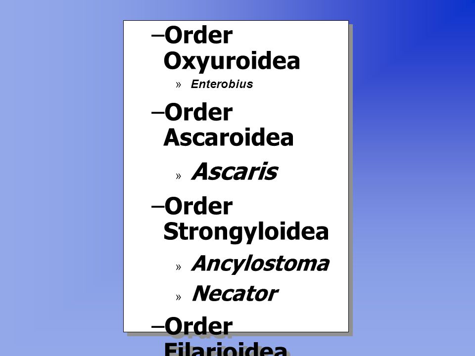 Order Oxyuroidea Order Ascaroidea Order Strongyloidea