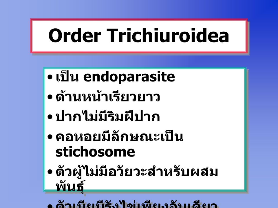 Order Trichiuroidea เป็น endoparasite ด้านหน้าเรียวยาว