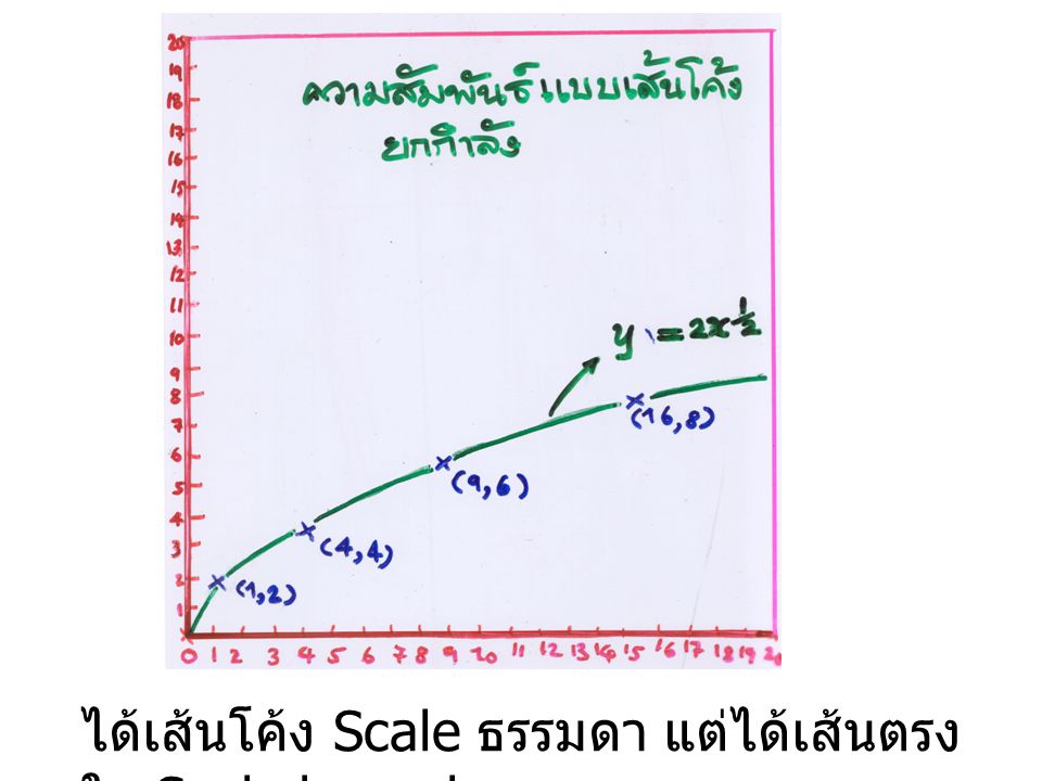 ได้เส้นโค้ง Scale ธรรมดา แต่ได้เส้นตรงใน Scale log × log