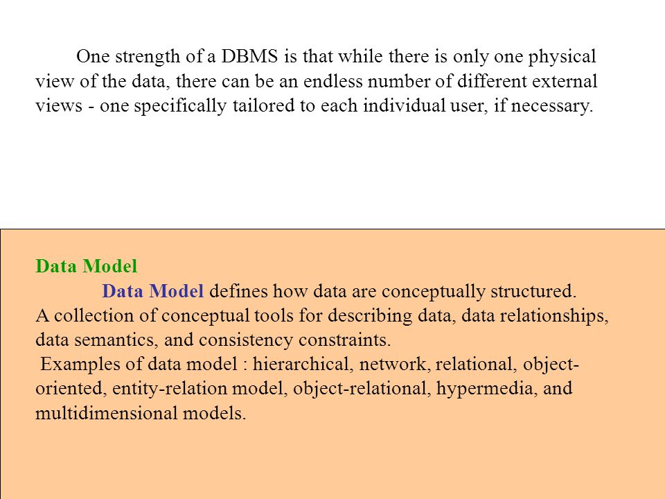 One strength of a DBMS is that while there is only one physical view of the data, there can be an endless number of different external views - one specifically tailored to each individual user, if necessary.
