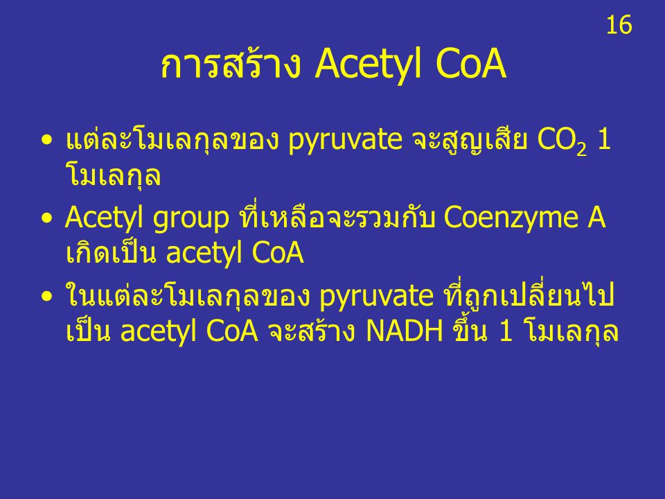 การสร้าง Acetyl CoA แต่ละโมเลกุลของ pyruvate จะสูญเสีย CO2 1 โมเลกุล