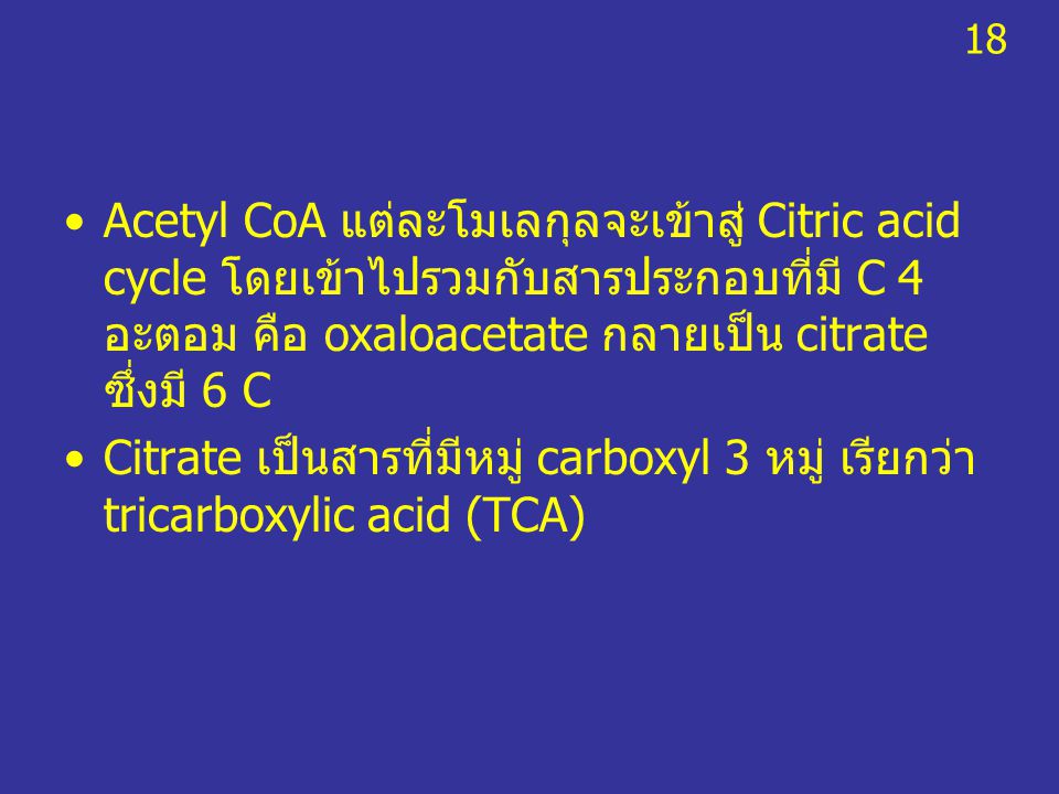 18 Acetyl CoA แต่ละโมเลกุลจะเข้าสู่ Citric acid cycle โดยเข้าไปรวมกับสารประกอบที่มี C 4 อะตอม คือ oxaloacetate กลายเป็น citrate ซึ่งมี 6 C.