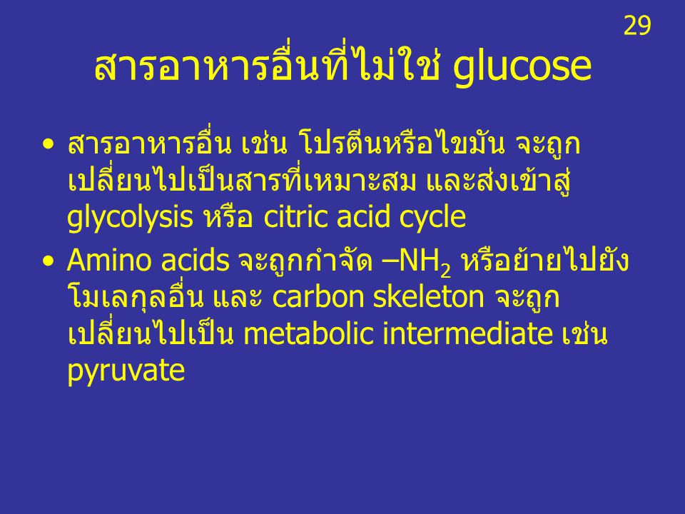 สารอาหารอื่นที่ไม่ใช่ glucose