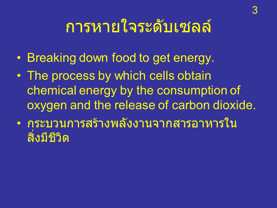 การหายใจระดับเซลล์ Breaking down food to get energy.