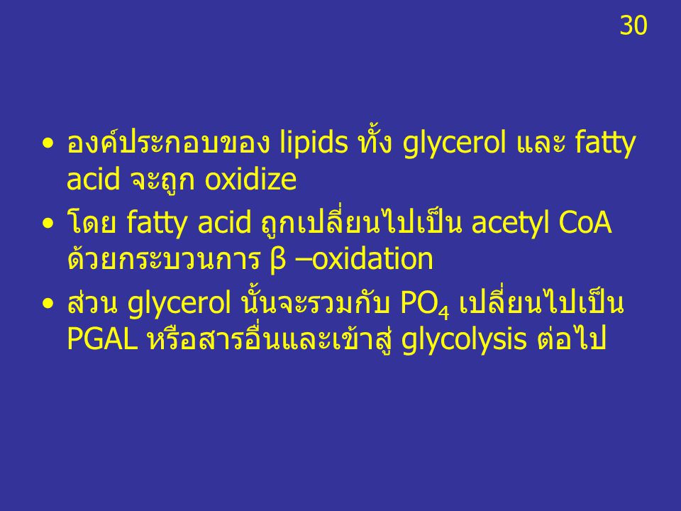 องค์ประกอบของ lipids ทั้ง glycerol และ fatty acid จะถูก oxidize