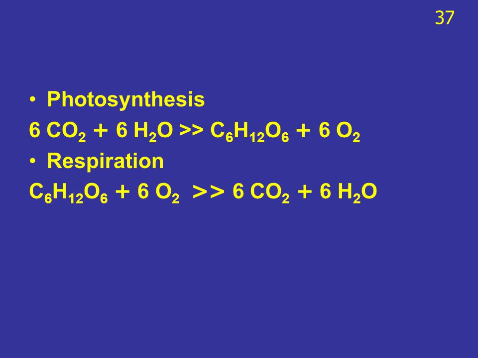Photosynthesis 6 CO2 + 6 H2O >> C6H12O6 + 6 O2 Respiration