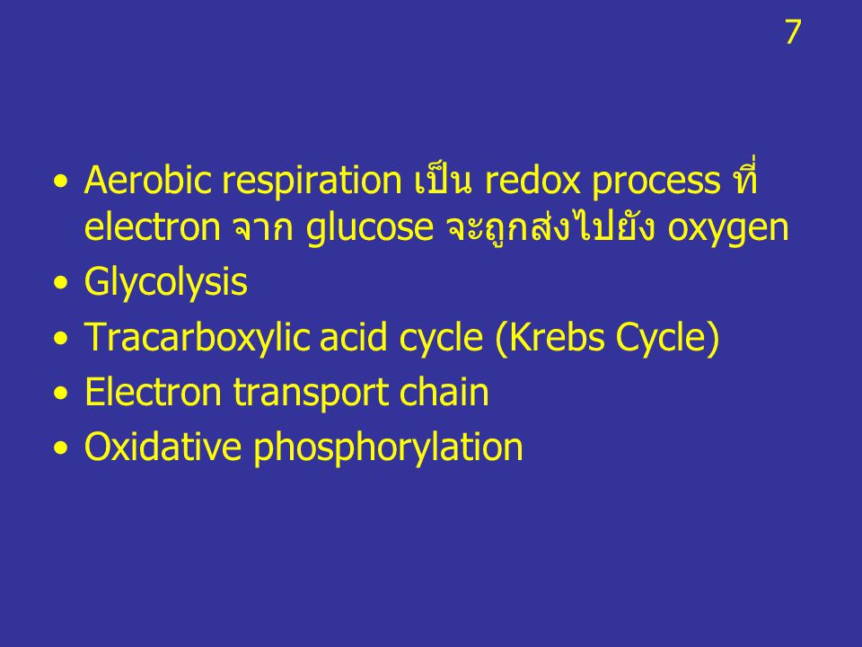 Tracarboxylic acid cycle (Krebs Cycle) Electron transport chain