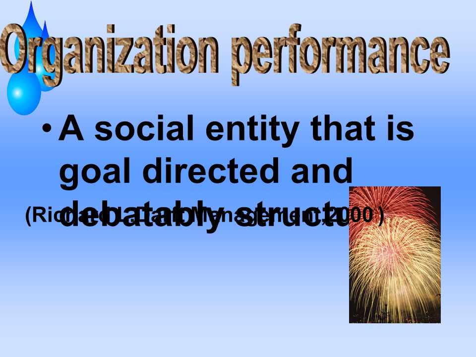 Organization performance (Richard L.Darft Management,2000 )