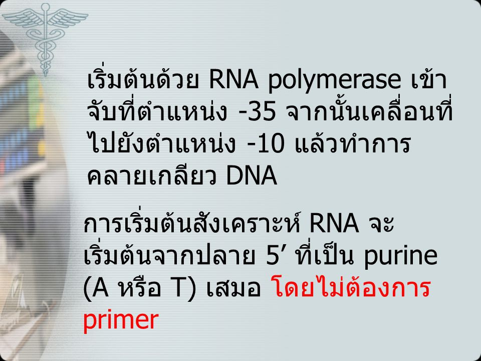 เริ่มต้นด้วย RNA polymerase เข้าจับที่ตำแหน่ง -35 จากนั้นเคลื่อนที่ไปยังตำแหน่ง -10 แล้วทำการคลายเกลียว DNA