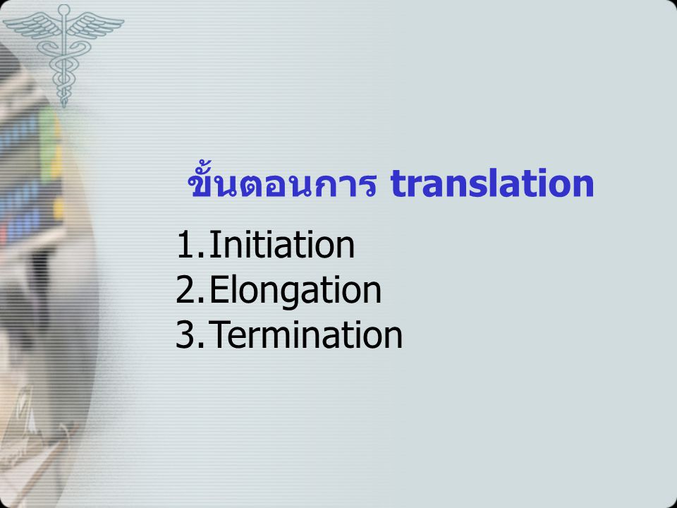 ขั้นตอนการ translation